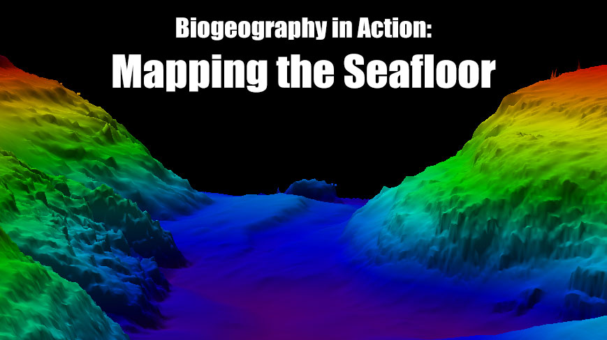 What is marine biogeography?