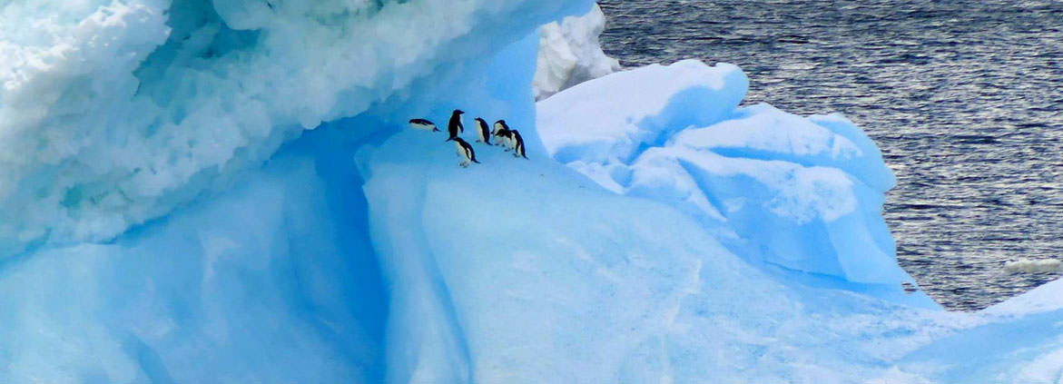 What color is an iceberg?