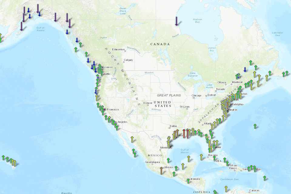 What is the difference between local sea level and global sea level?