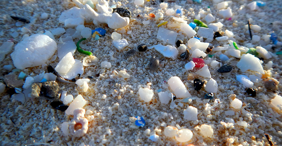 What are microplastics?