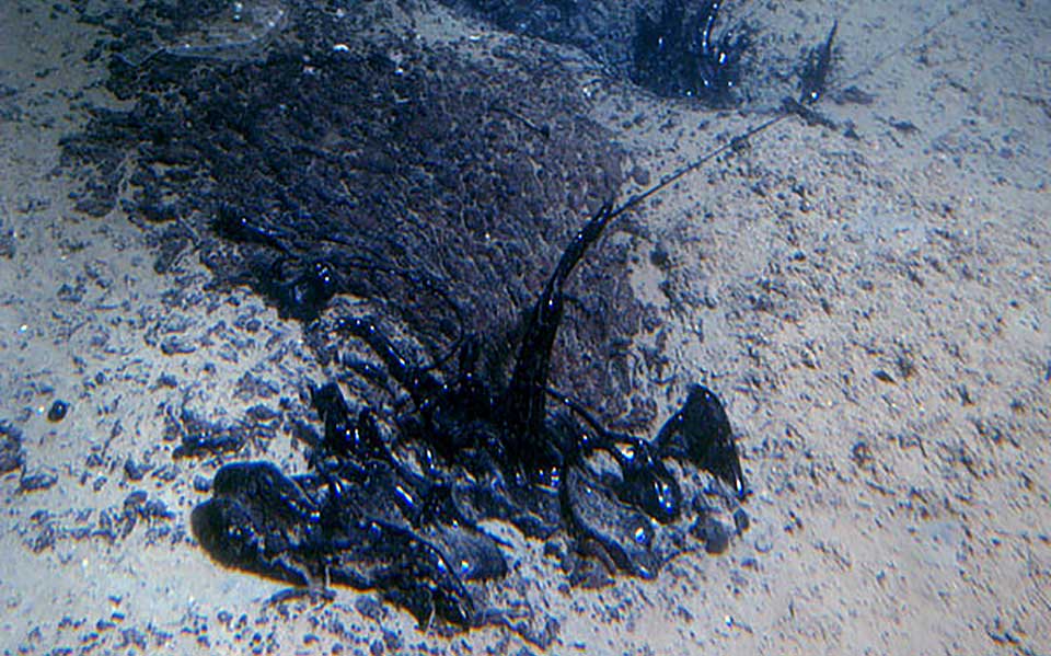 What is an oil seep?