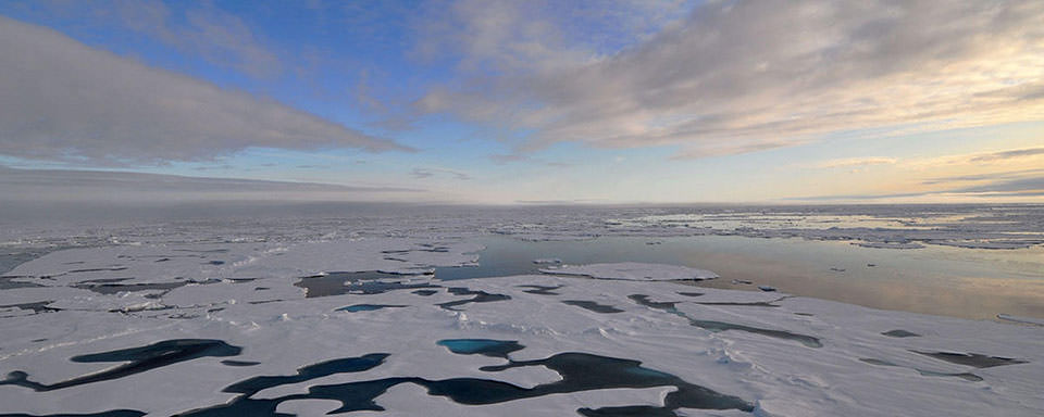How does sea ice affect global climate?