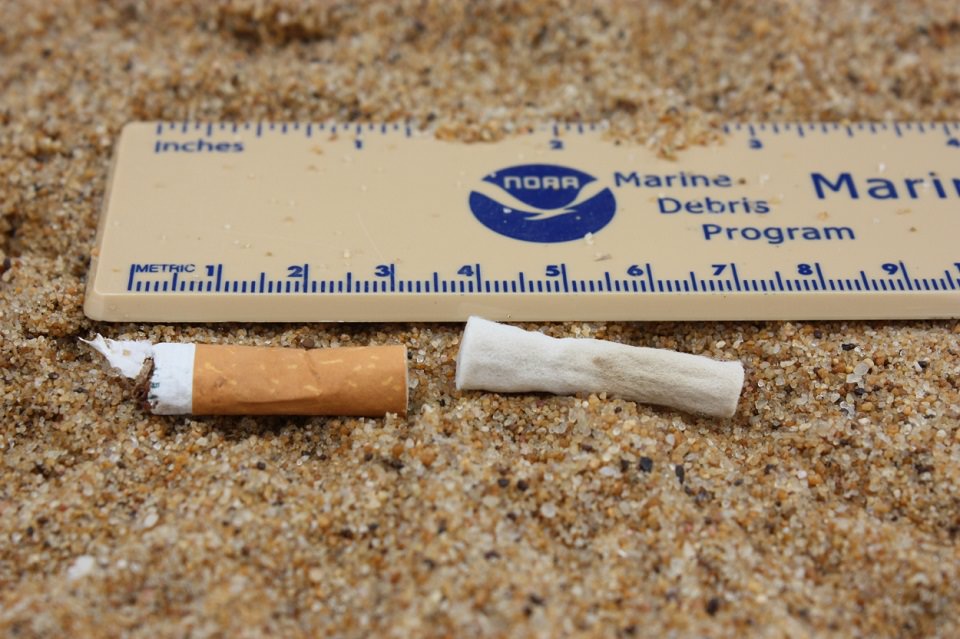 What is the most common form of ocean litter?