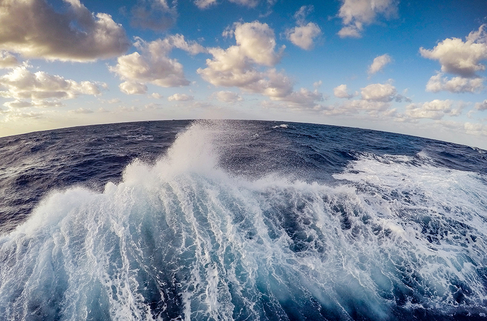 How much oxygen comes from the ocean?