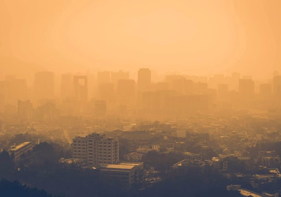 [aggregator] downloaded image for imported item #2937