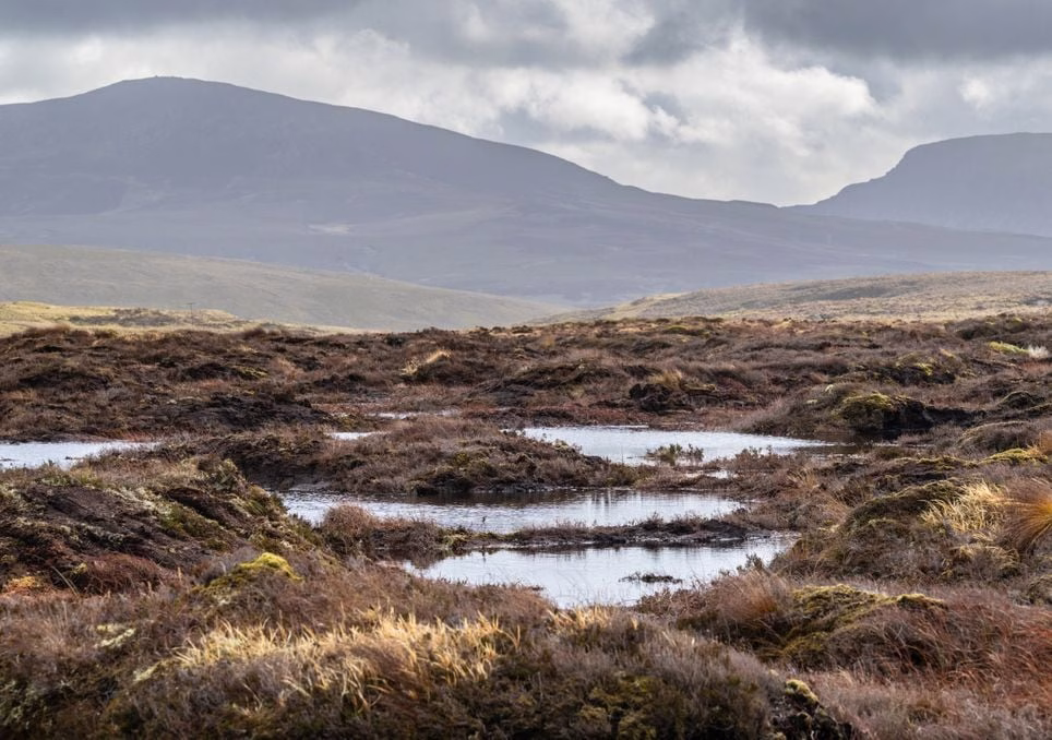 [aggregator] downloaded image for imported item #2912