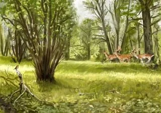 Britain's ancient fire-makers: evidence shows that early humans lit sparks 400,000 years ago Ancient Europe was open woodland, not closed canopy forest as previously thought, says study