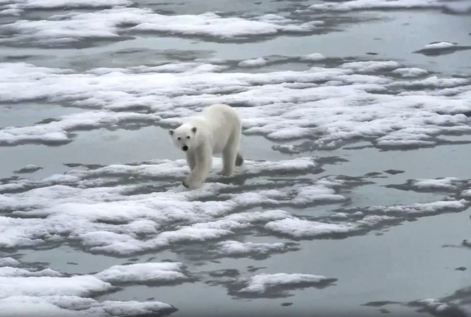 [aggregator] downloaded image for imported item #3268