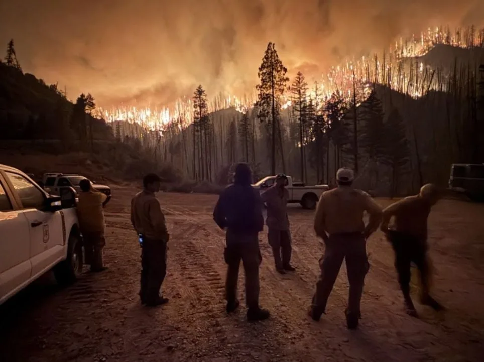 [aggregator] downloaded image for imported item #3935