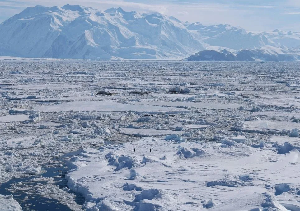 [aggregator] downloaded image for imported item #3743