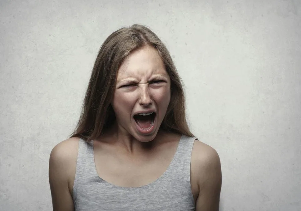 [aggregator] downloaded image for imported item #3969