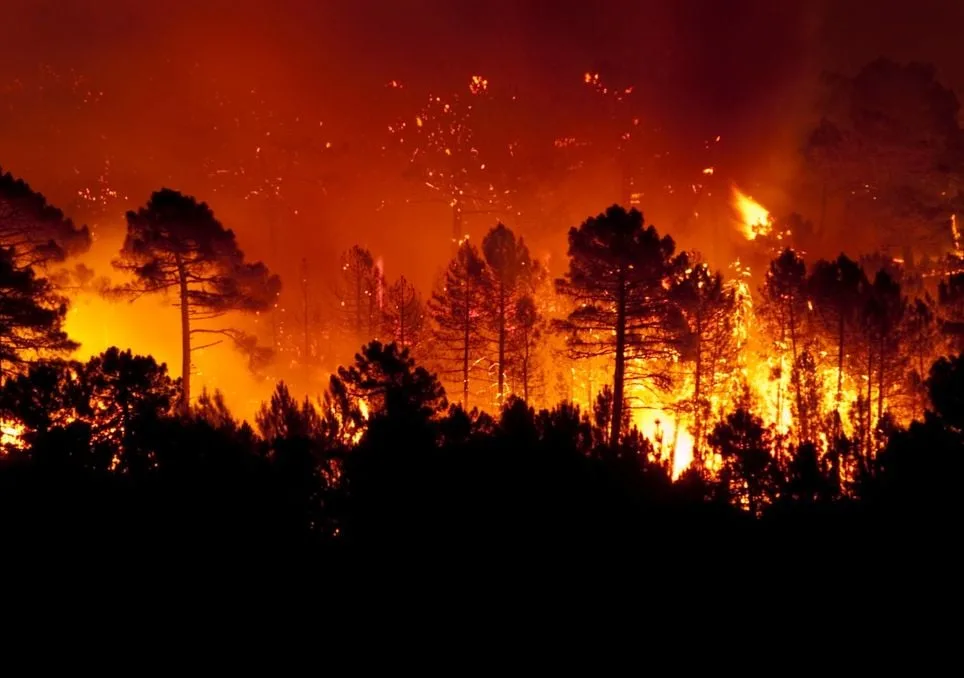 [aggregator] downloaded image for imported item #3708