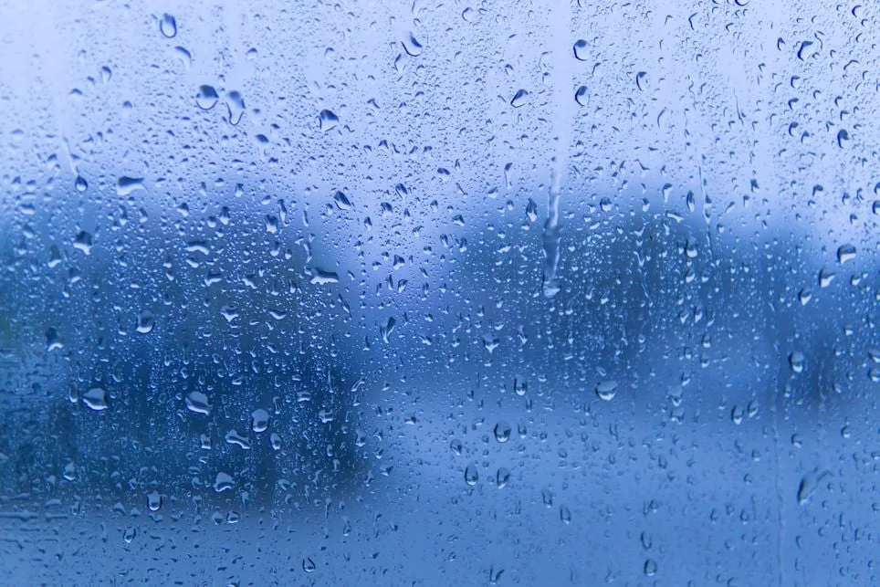 [aggregator] downloaded image for imported item #4216