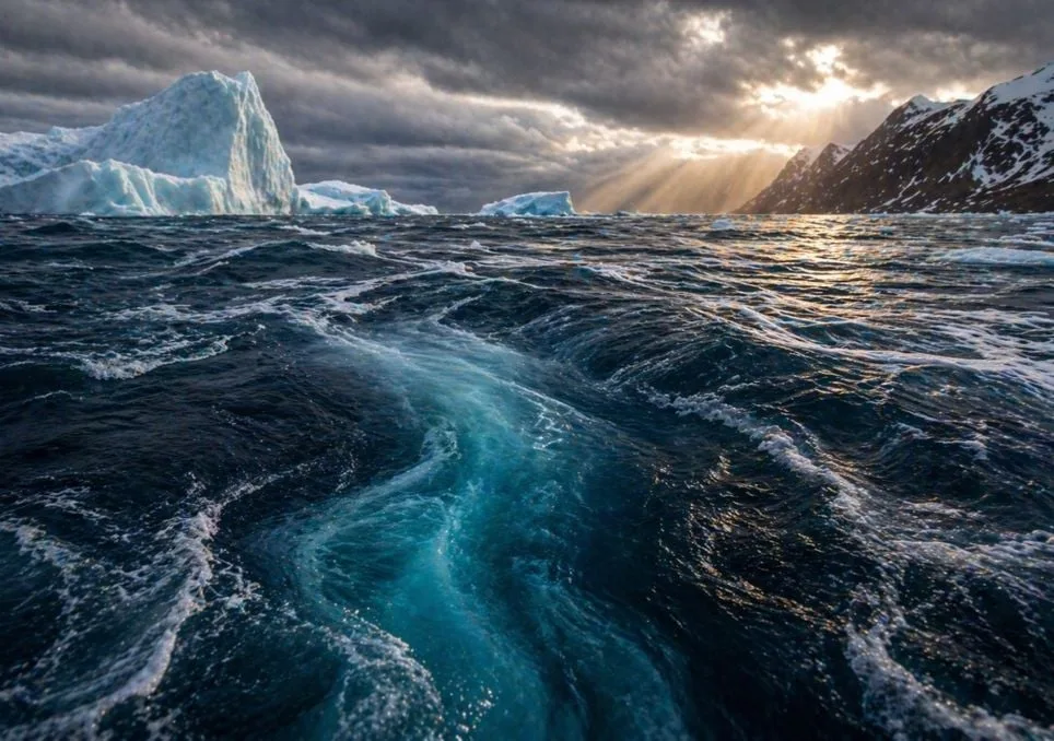 [aggregator] downloaded image for imported item #5646