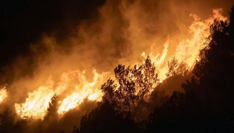 [aggregator] downloaded image for imported item #5520