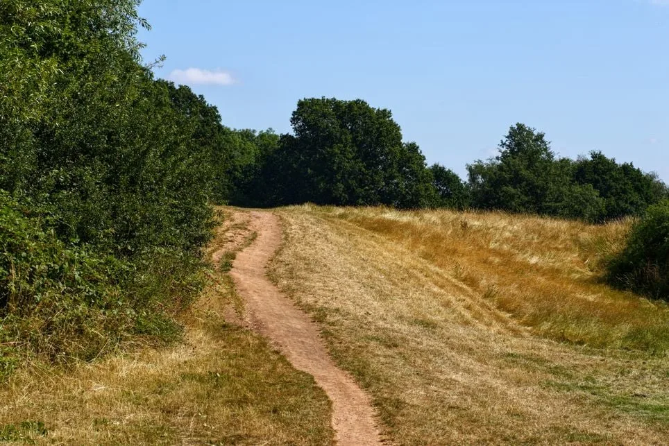 UK media reported June heatwaves, not climate crises fuelling them