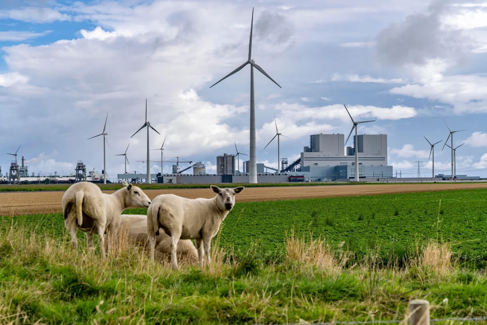 Image accompanying: Explainer: The CMIP7 emissions scenarios &ndash; and how they explore future climate change