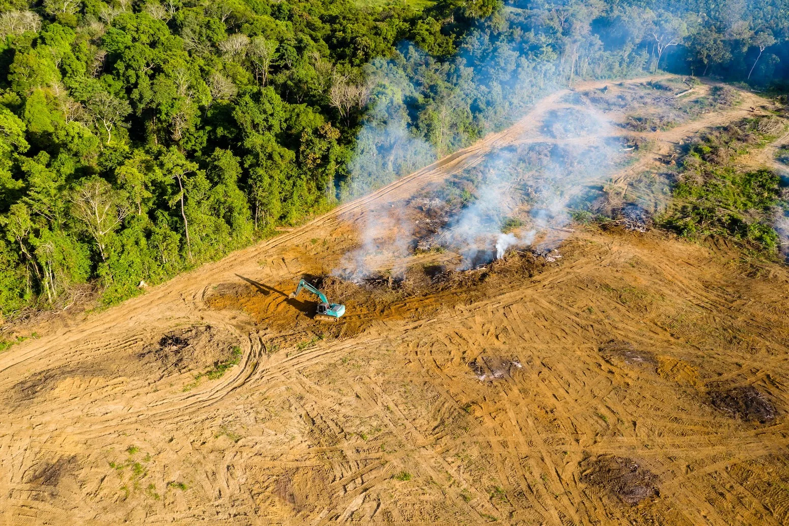 Why land-use emissions have fallen by a third this century – in six charts