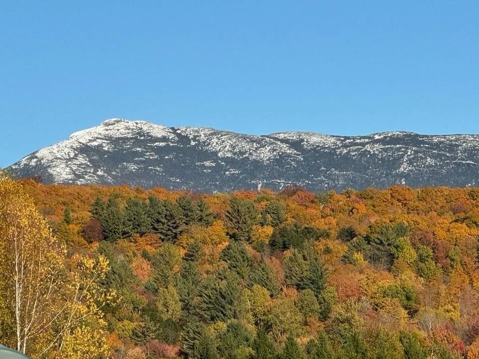 Climate change is not causing all mountain trees to move and grow at higher elevations