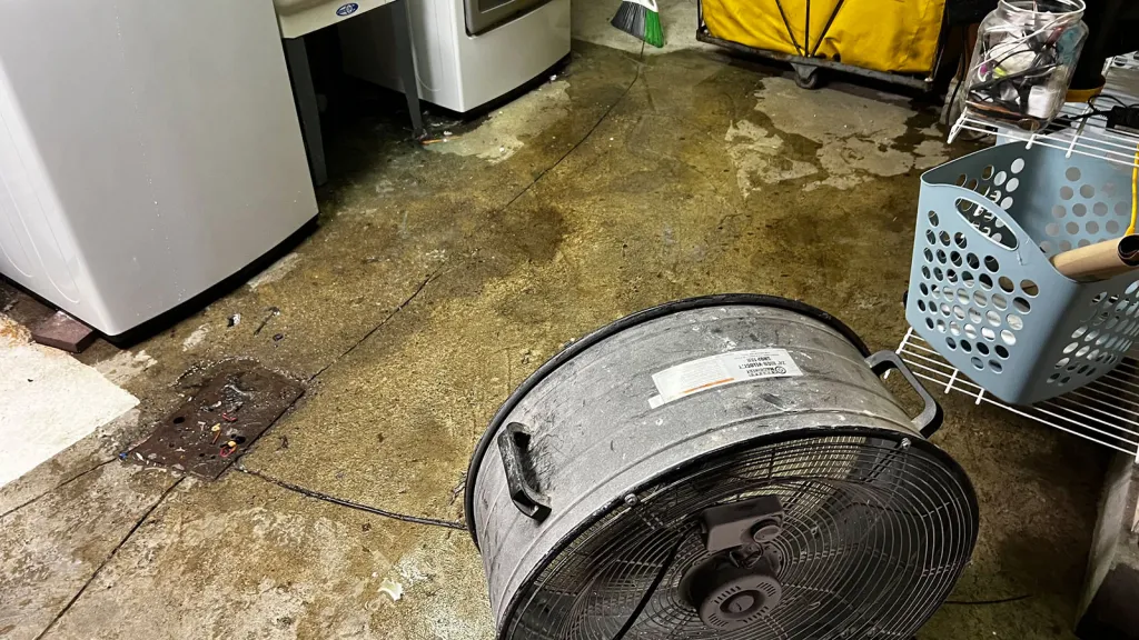 Image accompanying: For many Pittsburgh residents, wet basements pose health risks