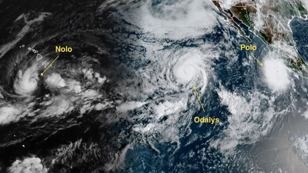 Image accompanying: Pacific’s cyclone factory is working overtime as multiple hurricanes roar across the basin