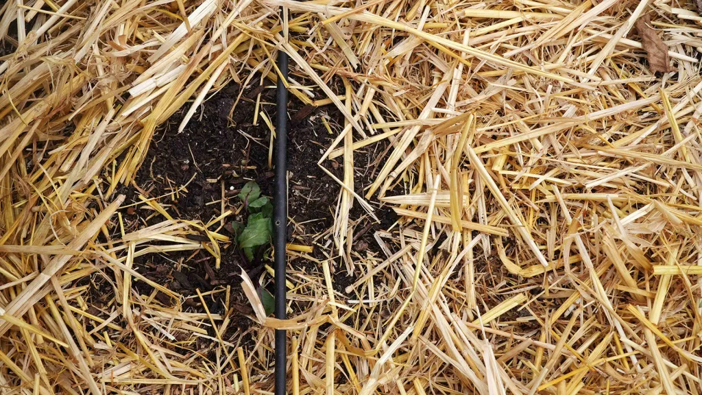 Image accompanying: How a Washington State farm dramatically slashed its irrigation needs