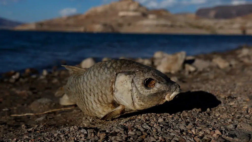 Image accompanying: Scientists link fossil fuel producers to the West’s worsening water shortages