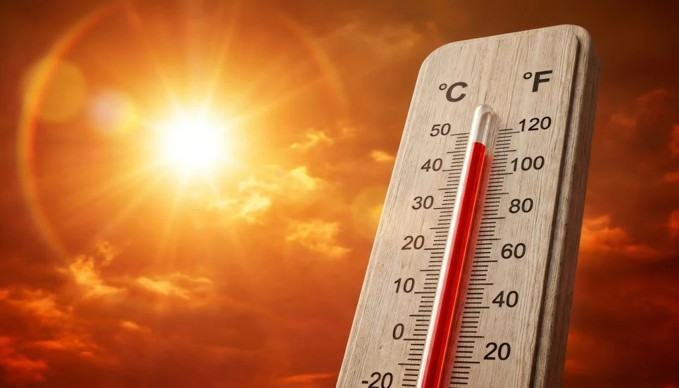 Image accompanying: Extreme heat no longer respects the seasons: heat waves are extending into spring and autumn