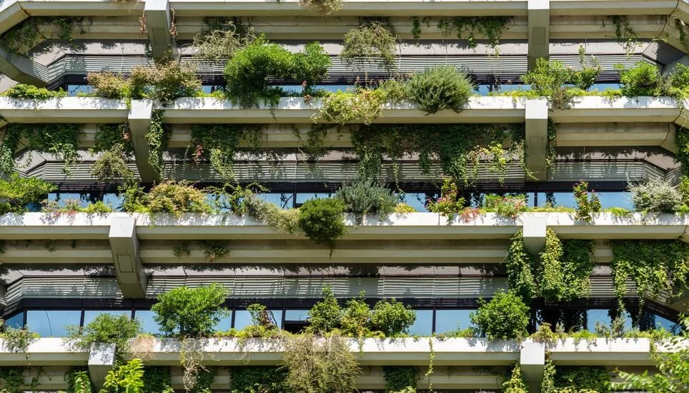 Image accompanying: Green roofs combat urban heat, but many fail due to lack of maintenance: half don’t survive