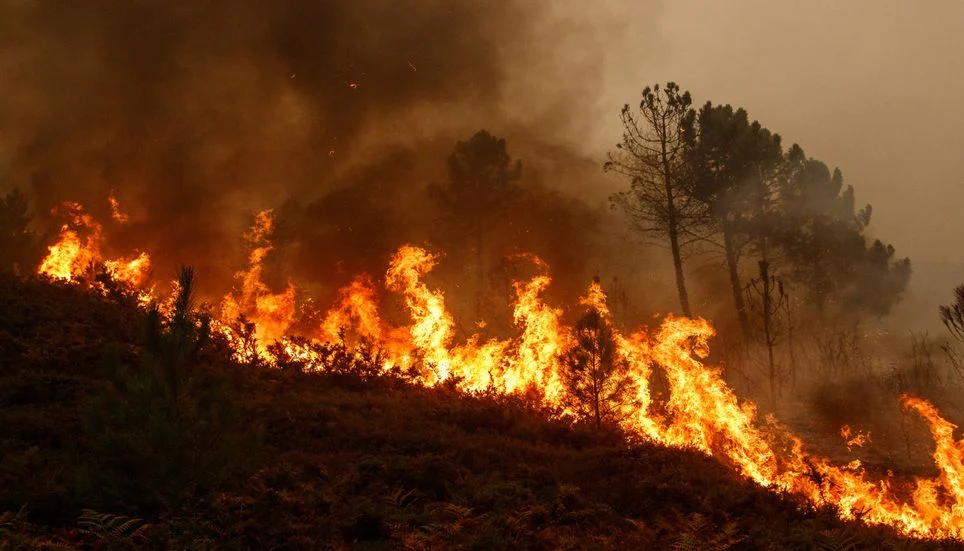 Image accompanying: Neither lightning nor chance: Science reveals humans cause up to 97% of wildfires