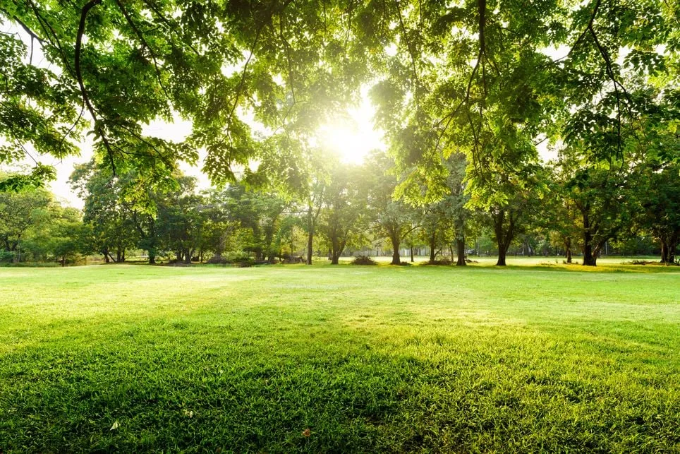 UK needs more ‘natural air conditioning’