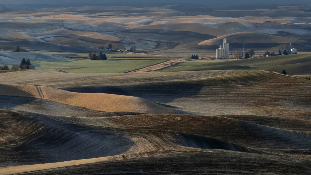 Coeur d’Alene Tribe works to restore native prairie