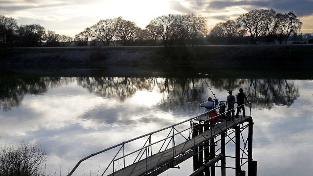 California restoration project turns sinking farmland into wetlands