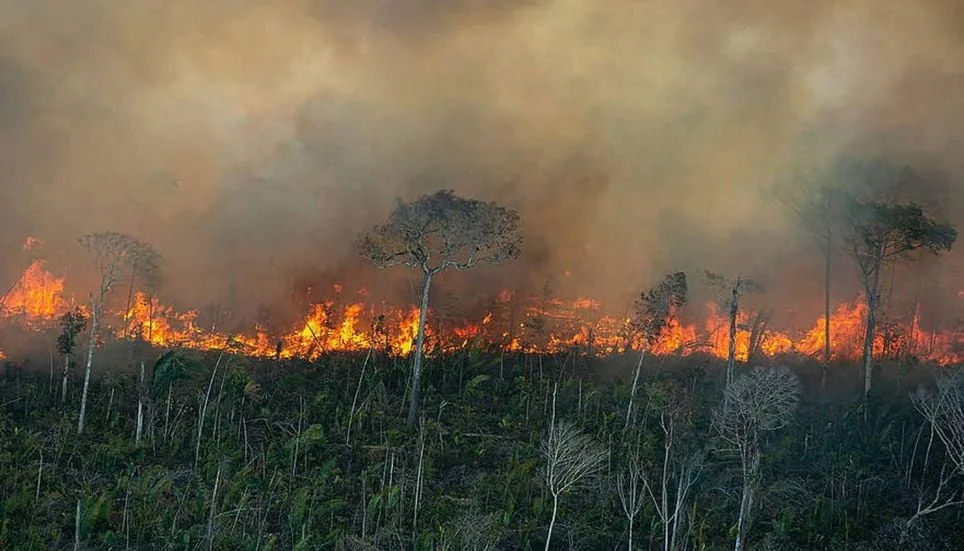Image accompanying: Amazon emits 1.17 billion more tons of carbon per year, study in Nature finds