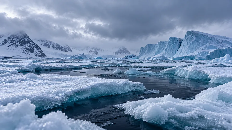 Image accompanying: Arctic sea ice explained: what the new Cambridge study means for the UK’s winters