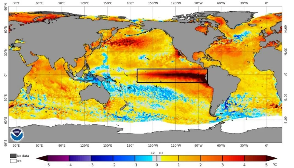 Image accompanying: The Pacific breaks a historic record: sea temperatures exceed 30°C for the first time in the Niño 3.4 region
